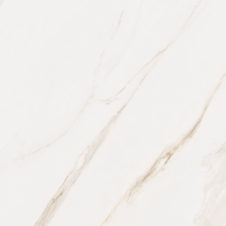 Omnia Calacatta Matte 48 x 48